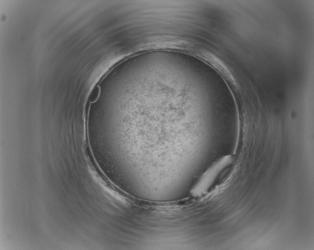 X0000068900844200605122058