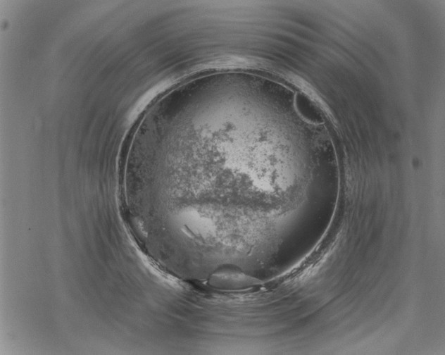 X0000068900845200605122058