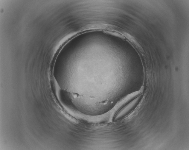 X0000068900846200605122058