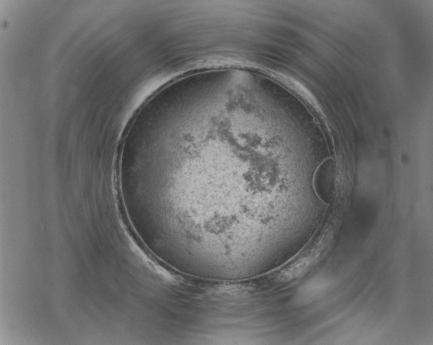 X0000068900847200605122058