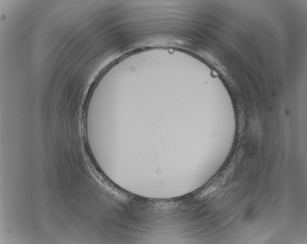 X0000068900848200605122058