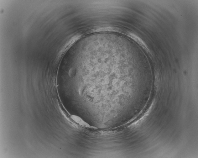 X0000068900849200605122058