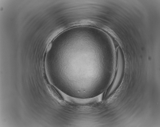 X0000068900850200605122058