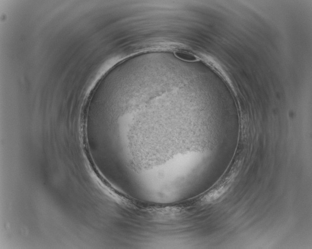 X0000068900851200605122058