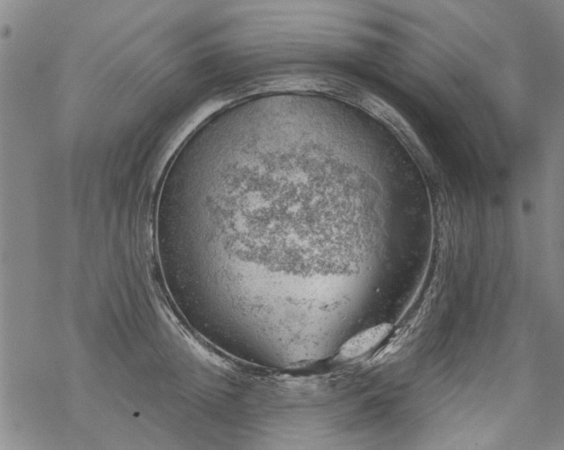 X0000068900852200605122058