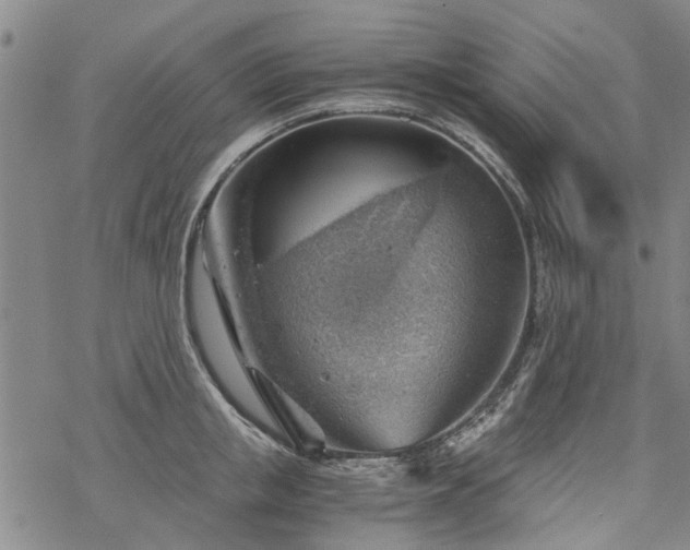 X0000068900853200605122058