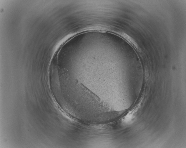 X0000068900854200605122058