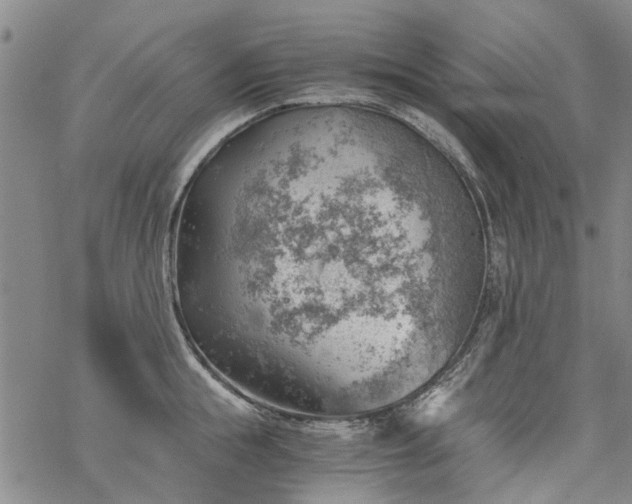 X0000068900855200605122058