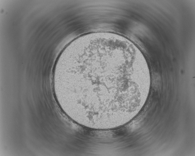 X0000068900856200605122058