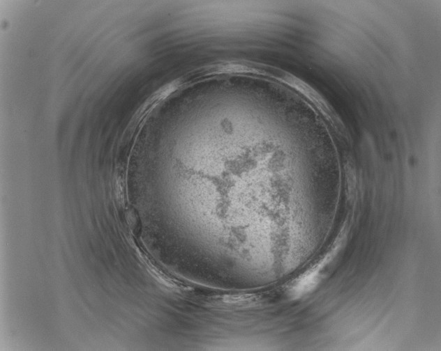 X0000068900857200605122058