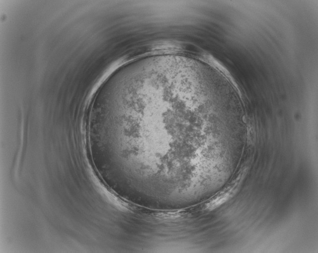 X0000068900859200605122058