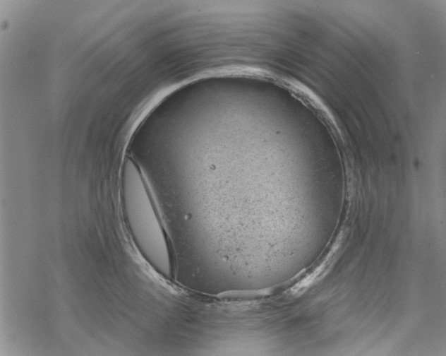 X0000068900860200605122058