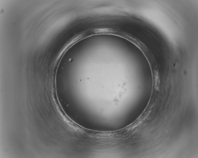 X0000068900861200605122058