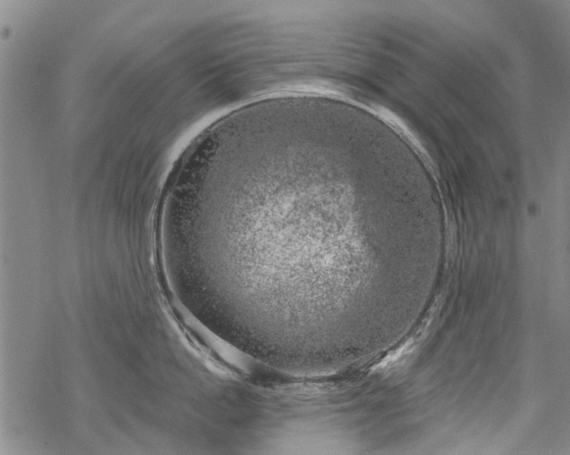 X0000068900862200605122058