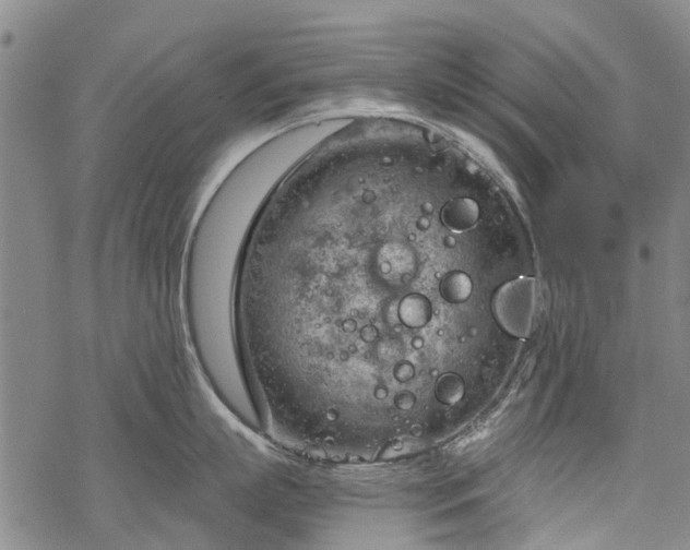 X0000068900863200605122058