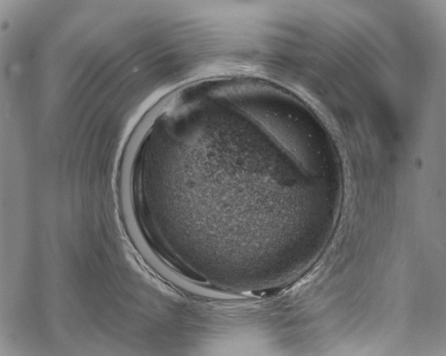 X0000068900864200605122058