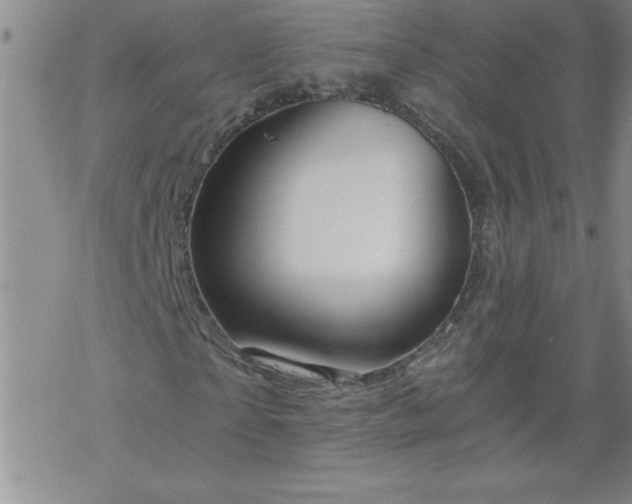 X0000068900865200605122057