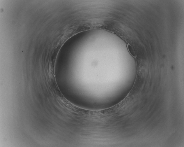 X0000068900866200605122057