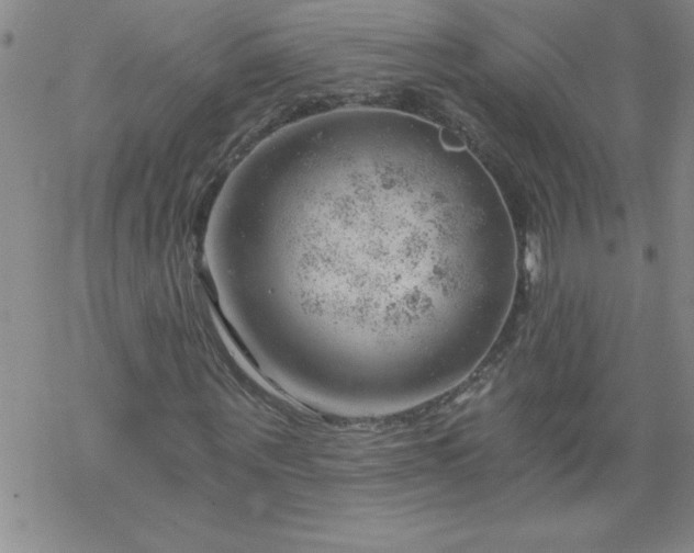 X0000068900867200605122057