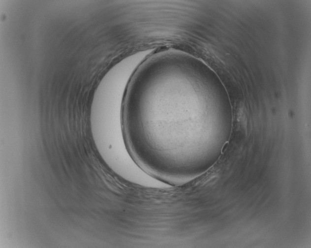 X0000068900868200605122057