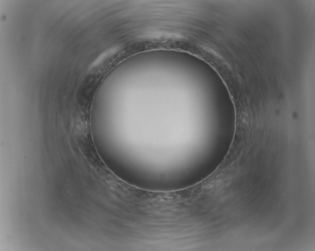 X0000068900869200605122057