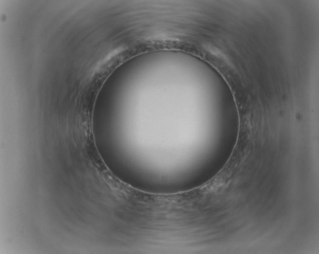 X0000068900870200605122057