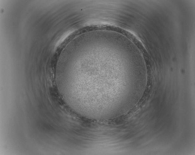 X0000068900871200605122057