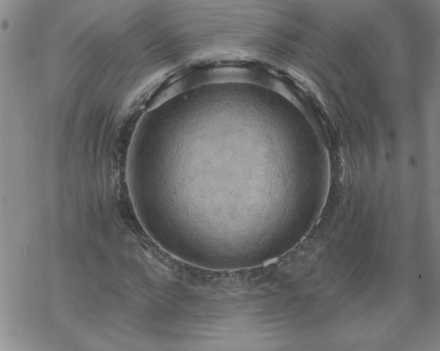 X0000068900872200605122057