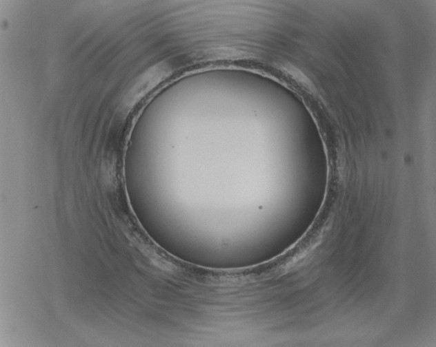 X0000068900873200605122057