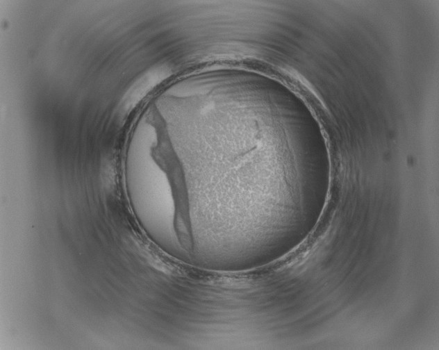 X0000068900874200605122057