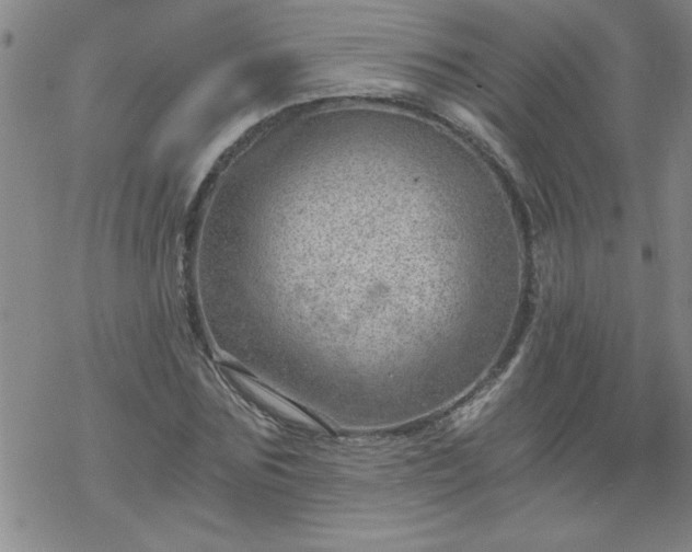 X0000068900875200605122057