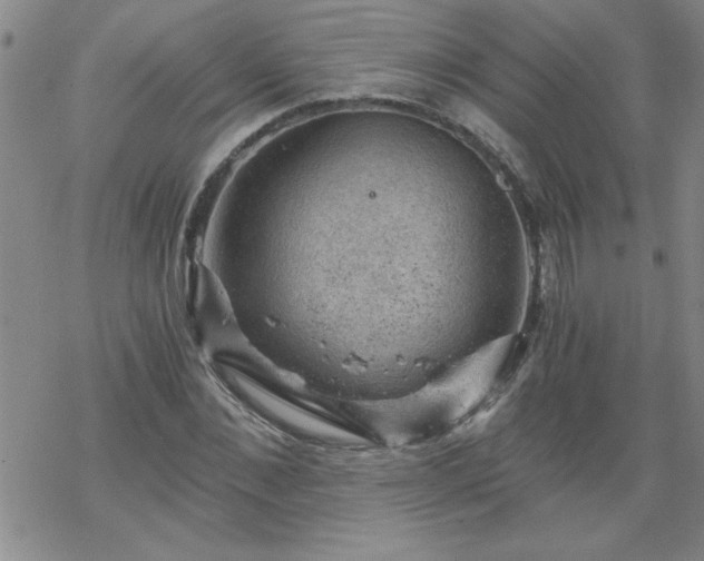 X0000068900876200605122057