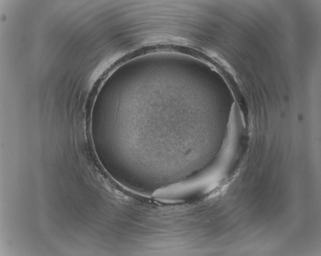 X0000068900877200605122057