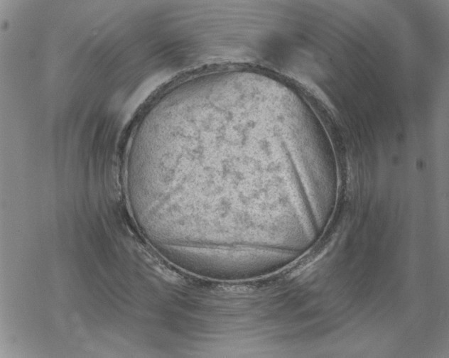 X0000068900878200605122057