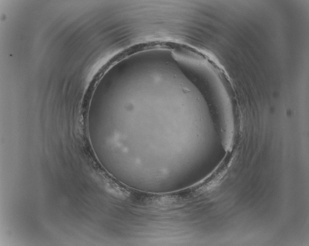 X0000068900879200605122057