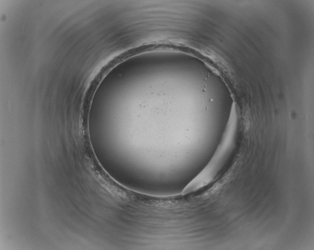 X0000068900880200605122057