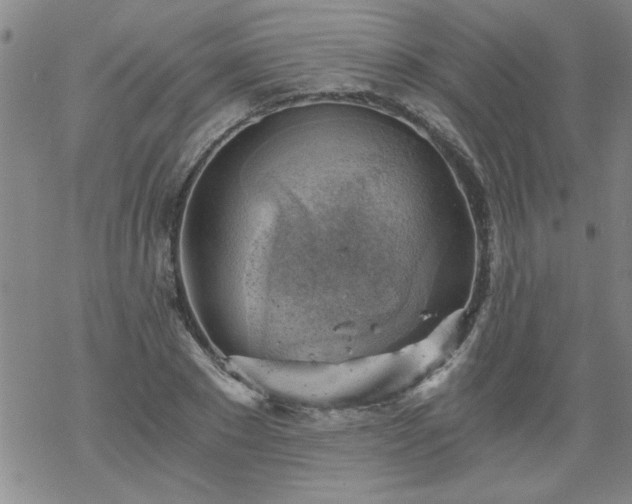 X0000068900881200605122057