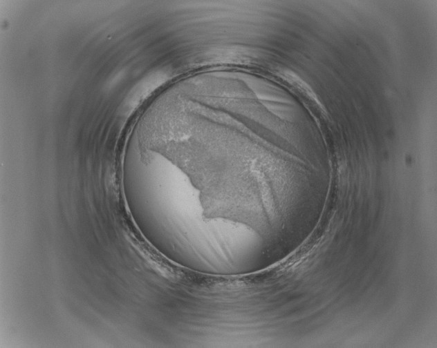 X0000068900882200605122057