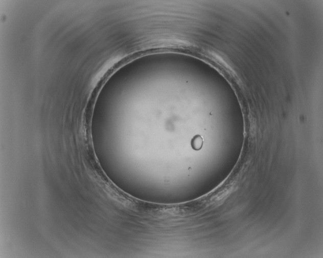 X0000068900883200605122057