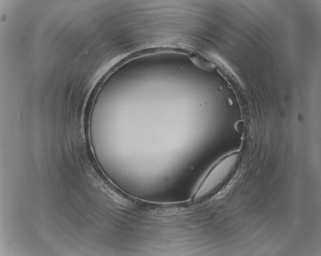 X0000068900884200605122057