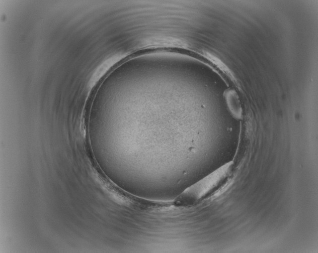 X0000068900885200605122057