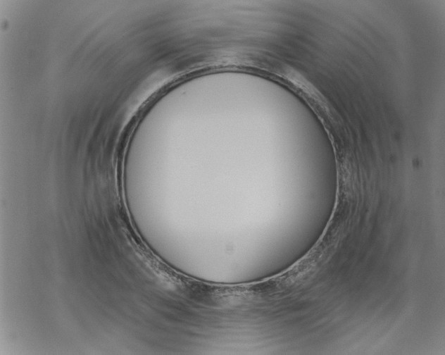 X0000068900886200605122057