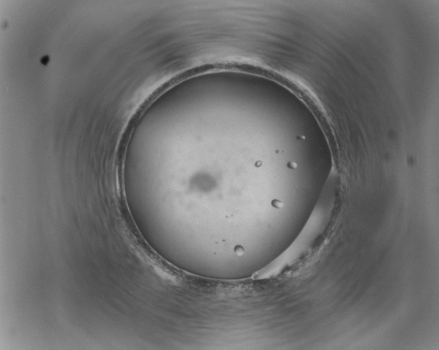 X0000068900887200605122057