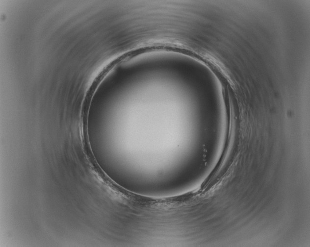 X0000068900888200605122057