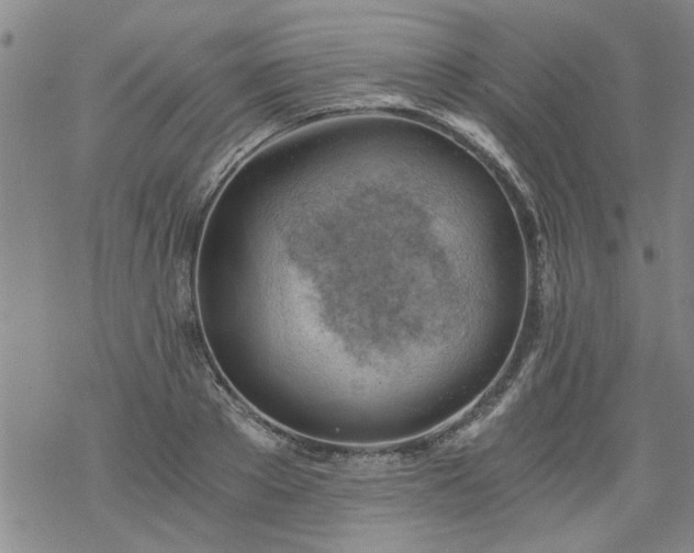 X0000068900889200605122057