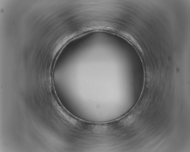 X0000068900890200605122057