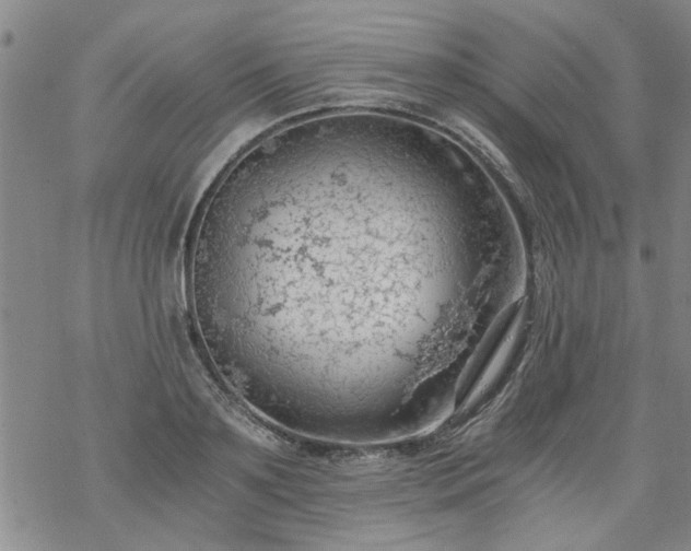 X0000068900891200605122057