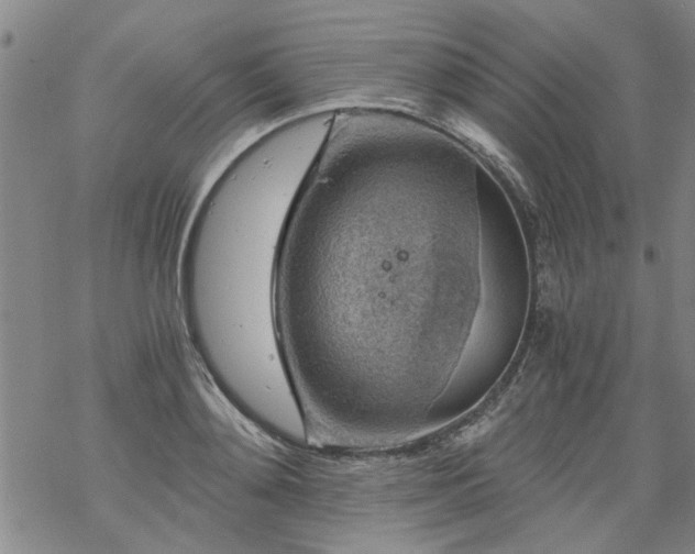 X0000068900892200605122057