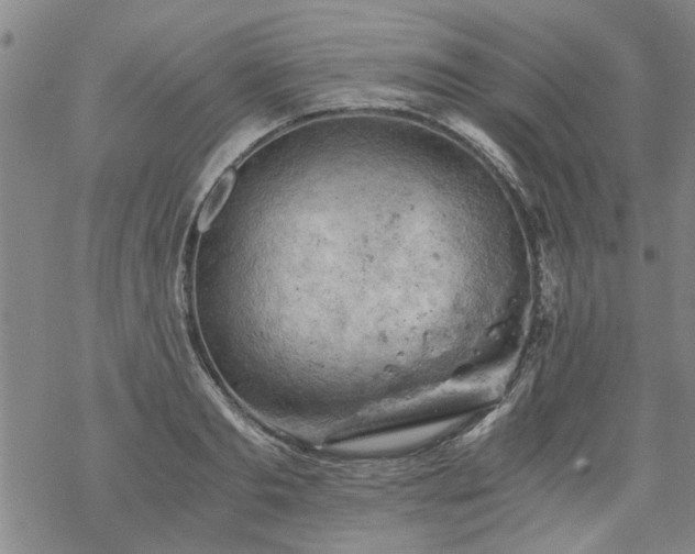 X0000068900893200605122057