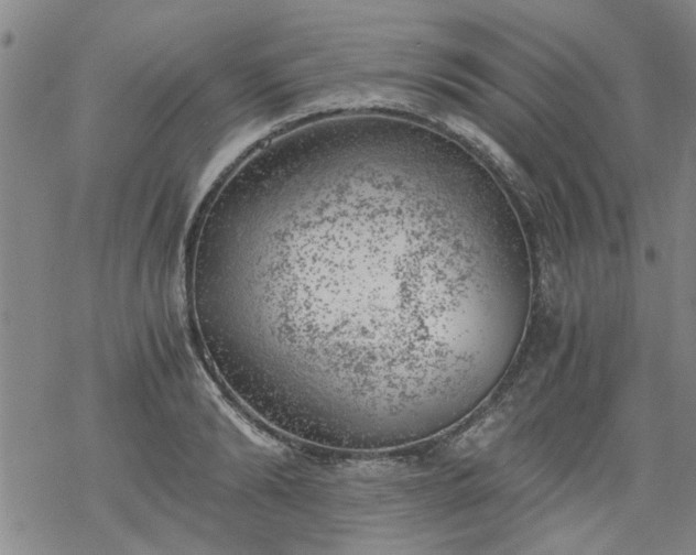 X0000068900894200605122057